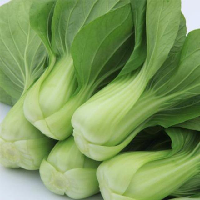 上海青菜